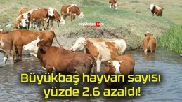 Büyükbaş hayvan sayısı yüzde 2.6 azaldı!