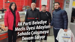 AK Parti meclis üyesi adayları çalışmalarını sürdürüyor