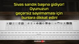 Sivas sandık başına gidiyor! Oyunuzun geçersiz sayılmaması için bunlara dikkat edin!