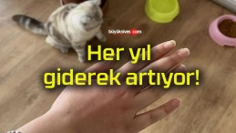 Her yıl giderek artıyor!