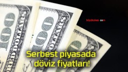 Serbest piyasada döviz fiyatları!