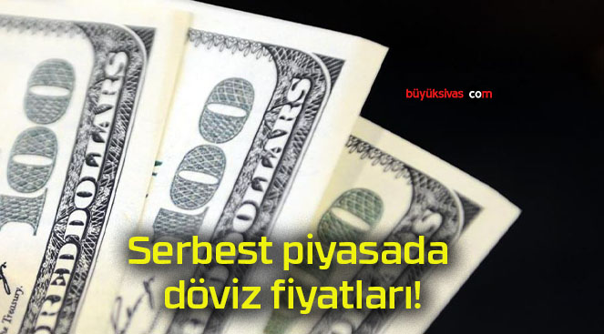 Serbest piyasada döviz fiyatları!