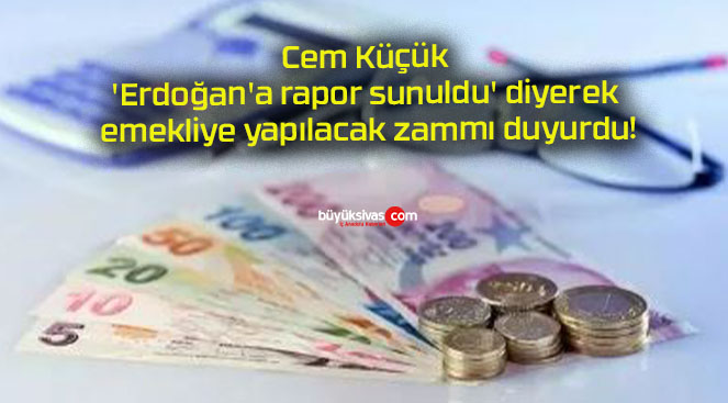 Cem Küçük ‘Erdoğan’a rapor sunuldu’ diyerek emekliye yapılacak zammı duyurdu!