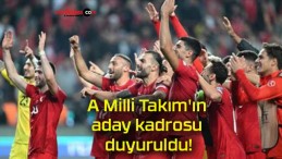 A Milli Takım’ın aday kadrosu duyuruldu!