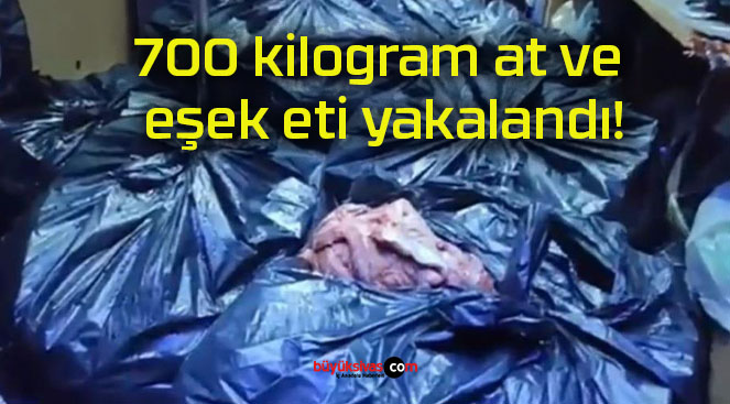 700 kilogram at ve eşek eti yakalandı!