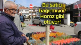 Bu satıcı bağırmıyor! Horoz gibi ötüyor!