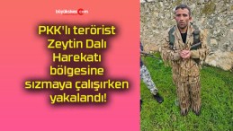 PKK’lı terörist Zeytin Dalı Harekatı bölgesine sızmaya çalışırken yakalandı!