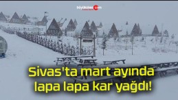 Sivas’ta mart ayında lapa lapa kar yağdı!