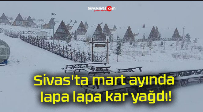 Sivas’ta mart ayında lapa lapa kar yağdı!