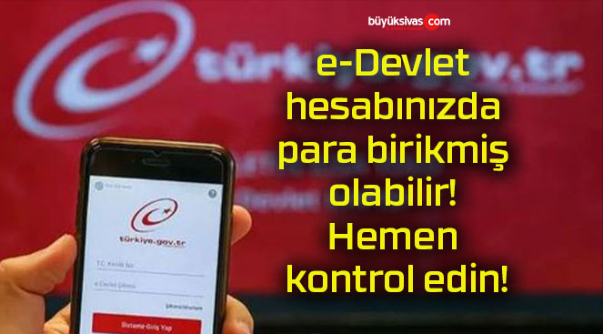 e-Devlet hesabınızda para birikmiş olabilir! Hemen kontrol edin!