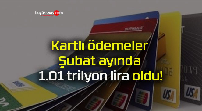 Kartlı ödemeler Şubat ayında 1.01 trilyon lira oldu!