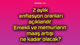 2 aylık enflasyon oranları açıklandı! Emekli ve memurların maaş artışı ne kadar olacak?