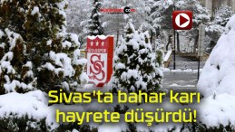Sivas’ta bahar karı hayrete düşürdü!