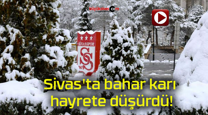 Sivas’ta bahar karı hayrete düşürdü!