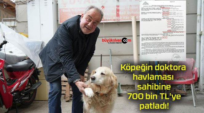 Köpeğin doktora havlaması sahibine 700 bin TL’ye patladı!