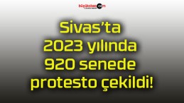 Sivas’ta 2023 yılında 920 senede protesto çekildi!