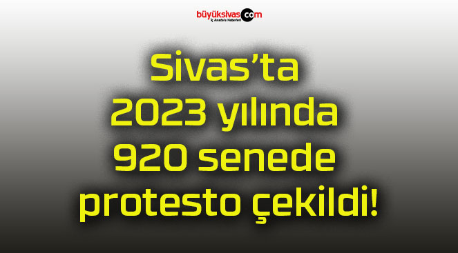 Sivas’ta 2023 yılında 920 senede protesto çekildi!