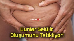 Bunlar Selülit Oluşumunu Tetikliyor!