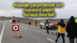 Köpeğe çarpmamak için manevra yaptı! Tarlaya devrildi!