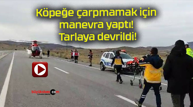 Köpeğe çarpmamak için manevra yaptı! Tarlaya devrildi!