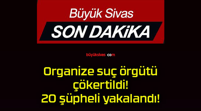 Organize suç örgütü çökertildi! 20 şüpheli yakalandı!