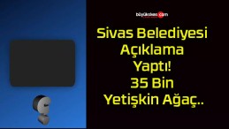 Sivas Belediyesi Açıklama Yaptı! 35 Bin Yetişkin Ağaç..