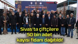 Sivas’ta çiftçilere 50 bin adet kayısı fidanı dağıtıldı!
