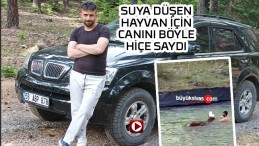 Sivaslı yiğido suya düşen hayvanı böyle kurtardı