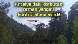 Antalya’daki korkutan orman yangını kontrol altına alındı!