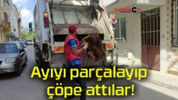 Ayıyı parçalayıp çöpe attılar!