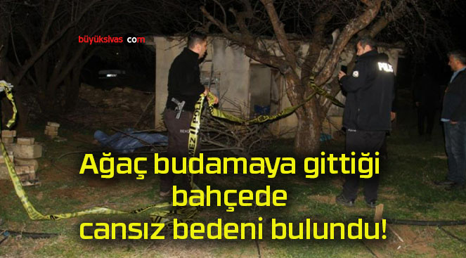 Ağaç budamaya gittiği bahçede cansız bedeni bulundu!