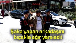 Şaka yapan arkadaşını bıçakla ağır yaraladı!