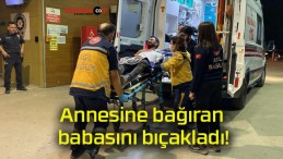 Annesine bağıran babasını bıçakladı!