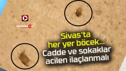 Sivas’ta böcekler çoğaldı… Belediyeden ilaçlama bekleniyor