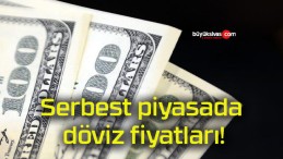 Serbest piyasada döviz fiyatları!