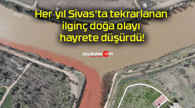 Her yıl Sivas’ta tekrarlanan ilginç doğa olayı hayrete düşürdü!