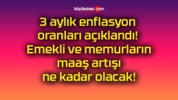 3 aylık enflasyon oranları açıklandı! Emekli ve memurların maaş artışı ne kadar olacak!