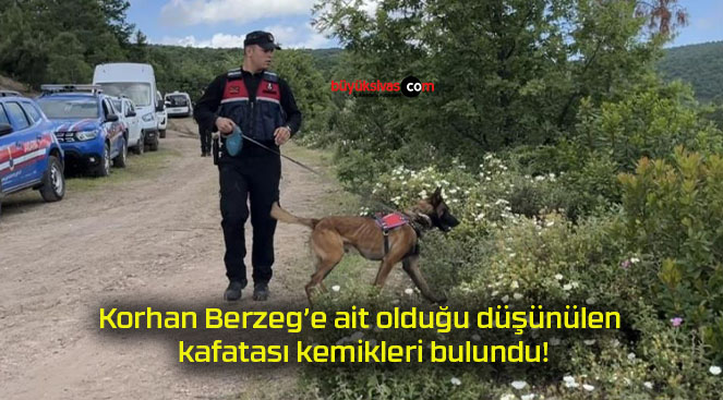 kemik