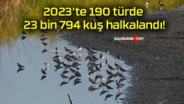 2023’te 190 türde 23 bin 794 kuş halkalandı!