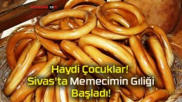 Haydi Çocuklar! Sivas’ta Memecimin Gıliği Başladı!