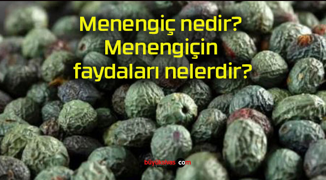 Menengiç nedir? Menengiçin faydaları nelerdir?