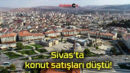 Sivas’ta konut satışları düştü!