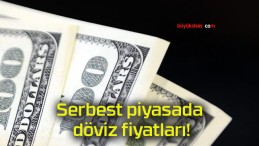 Serbest piyasada döviz fiyatları!