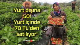 Yurt dışına 50! Yurt içinde 70 TL’den satılıyor!