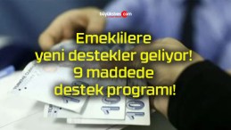 Emeklilere yeni destekler geliyor! 9 maddede destek programı!