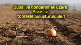 Dubai’ye gönderilmek üzere Sivas’ta toprakla buluşturuldular!