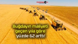 Buğdayın maliyeti geçen yıla göre yüzde 62 arttı!