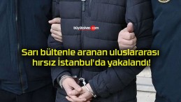 Sarı bültenle aranan uluslararası hırsız İstanbul’da yakalandı!