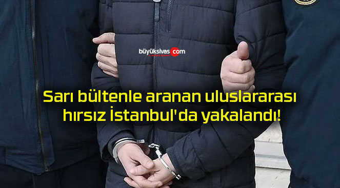 Sarı bültenle aranan uluslararası hırsız İstanbul’da yakalandı!