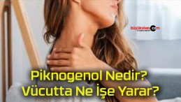 Piknogenol Nedir? Vücutta Ne İşe Yarar?